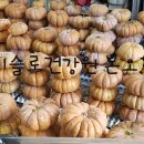 이슬로건강원 이미지