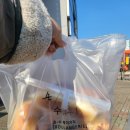 버드내코아 | 대전 태평동 손수 베이커리 다녀온 후기