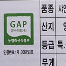 인아네 농원