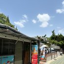 코피티암 이미지