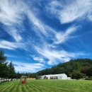 선 목장 이미지