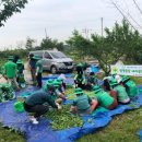 코스모스작은도서관 이미지