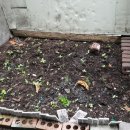 태전소망 지역아동센터 이미지