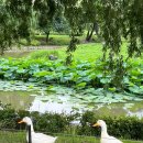 씨유 수원북수소망점 | 【수원 여행】 북수문에서 출발 / 수원 화성행궁/행궁길/수원전통문화관 기획 전시 방문 후기