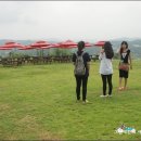 금와농장 이미지