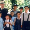 마리포사 이미지