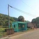 개랭이고들빼기마을 이미지