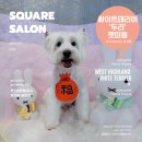 두리베어 이미지