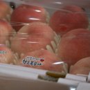 싱그러운청도로(가을) 이미지