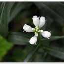 억수농장 이미지