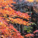 소망빌딩 이미지