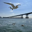 삽교호 관광지 | 삽교호 관광지