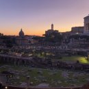 야누스랩스 이미지