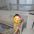 토토리 | 25.12.03 - 토토리 (+255) ⭐