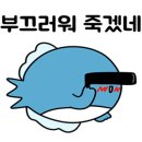개복치마켓