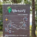 고랑포길 이미지