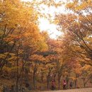 장미원 (산림욕장) 이미지