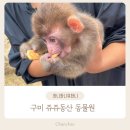 동산자연유치원 | 구미 쥬쥬동산 동물원 말하는 앵무새·호랑이 먹이주기까지! 아기랑 가볼만한곳