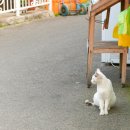 은서네민박 이미지