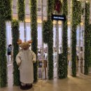 장´S쉐어키친 | 일산 소노캄 호텔 뷔페 가격, 셰프스키친 런치 패키지 이용 후기