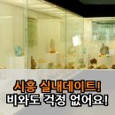 신나는 날 | 시흥 실내데이트? 비오는 날에도 신나는 박물관 투어 후기! 진짜 놀라운 곳들만 모았다!