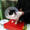 서창남순환로 이미지