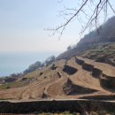 다랭이마을 안내소 앞 이미지