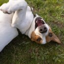 365 마음동물병원 이미지