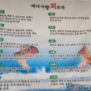 바다사랑회포차 이미지