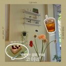 The Nest Coffee | 원주 카페 코이네 조용한 골목 치즈 케이크 맛집