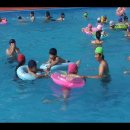 2008년 여름성경학교 인천대공원 수영장 이미지