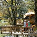 아트인아일랜드야영장 이미지