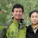 동구밖과수원 - 북구 북문대로 146 | 동구밖과수원