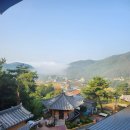 (주)자연담소 이미지