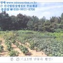 내곡동436 이미지