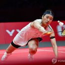 동부스포츠센터 체육관 이미지