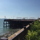 솔찬공원 이미지