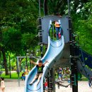 요리놀이터2 이미지