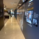 눈시원안과의원 | 밝은눈안과 스마일라식 검사 후기✨ 1월에 다녀온 잠실 롯데타워점 리얼 검안투어