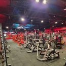 라이언 휘트니스 이미지