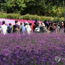 뚱이네밥차