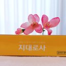지대로팜