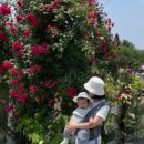 신송목장 이미지