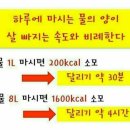 점핑24FIT 네이버블로그
