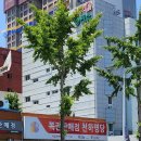 천하카서비스 | 부산 서면 범일동 로또1등 최다 당첨된 곳 천하명당 부일카서비스