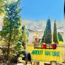 나만의 캘리그래피 | 이천 대형 카페 어바웃네이처 숲속 힐링 브런치 카페 (캘리그래피 수업까지!)