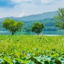 두물머리 이미지