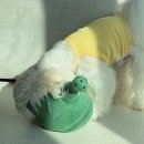 은정원 이미지