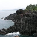 나홀로 진짜 여행 이미지