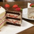 웅지와 나옹이 이미지